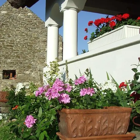 Csato Vendeghaz ティハニ