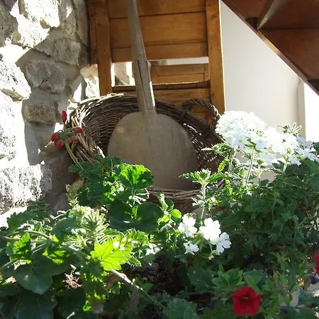 Csato Vendeghaz ティハニ