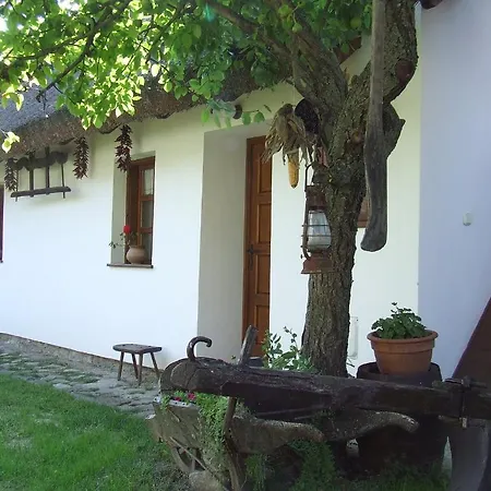 Csato Vendeghaz ゲストハウス